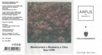Folkingebrew, Blackcurrant x Blueberry x Citra Sour DIPA