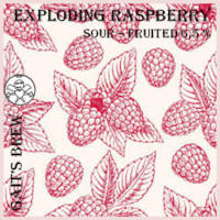 Amateurs, Exploding Raspberry