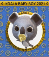 Amateurs, Koala Baby Boy 2021