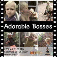 Amateurs, Adorable Bosses