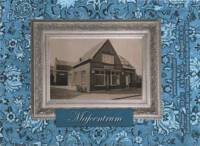 Buitenlandse bieren voor Nederlandse markt (etiket Nederlandse plaatsnaam), Pilsener