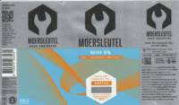 Brouwerij De Moersleutel, Kinetics