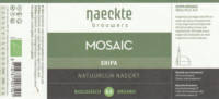 De Naeckte Brouwers, Mosaic Shipa