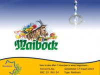 Amateurs, Maibock