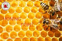 Amateurs, Honing Tripel