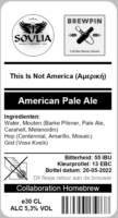 Amateurs, This I Not America