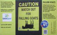 Amateurs, Falling Goats