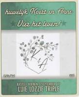 Amateurs, Huwelijk Koert & Anne