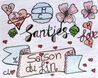 Amateurs, Saison de Lin