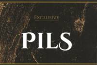Buitenlandse bieren voor Nederlandse markt (etiket Nederlandse plaatsnaam), Pils Exclusive