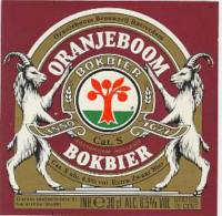 Oranjeboom Bierbrouwerij, Bokbier