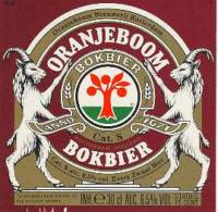 Oranjeboom Bierbrouwerij, Bokbier