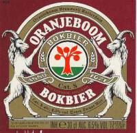 Oranjeboom Bierbrouwerij, Oranjeboom Bokbier
