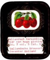 Sallandsche Brouwerij, Sallandsch Kersenbier
