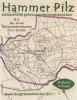 Berghoeve Brouwerij, Hammer Pilz