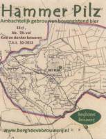 Berghoeve Brouwerij, Hammer Pilz