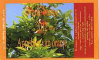 Stadsbierbrouwerij Apeldoorn, Oranje biertje 2012 Appeltjes van Oranje