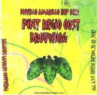 Sallandse Landbierbrouwerij, Novello Amarillo Hop Bier Pint Regio Oost