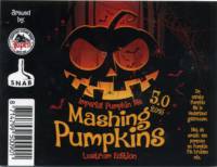St. Noord-Hollandse Alternatieve Brouwers (SNAB), Mashing Pumpkins 5.0