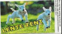 Amateurs, Lente Tent