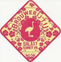 Brouwerij 't IJ, Galaxy Summer IPA