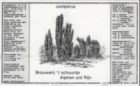 Amateurs, Juniperus