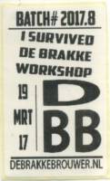 Amateurs, I Survived De Brakke Workshop
