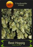 Amateurs, Best Hoppig Indian Pale Ale