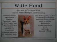 Amateurs, Witte Hond