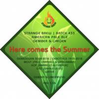 Amateurs, Here Comes the Summer