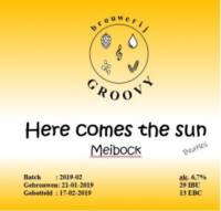 Amateurs, Here Comes the Sun Meibock