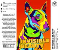 Amateurs, Invisible Beauty