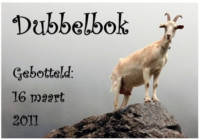 Amateurs, Dubbelbok