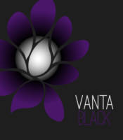 Amateurs, Vanta Black