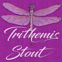 Amateurs, Trithemis Stout