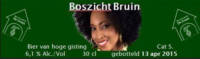 Micro Brouwerij De Graas, Boszicht Bruin