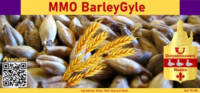 Dorpsbrouwerij Waalre, MMO BarleyGyle