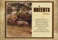 Buitenlandse bieren voor Nederlandse markt (etiket Nederlandse plaatsnaam), Drèents Pilsie