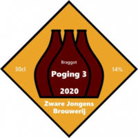 Amateurs, Poging 3 2020