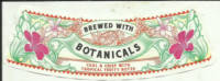Lowlander Beer Co, (Summer Ale)